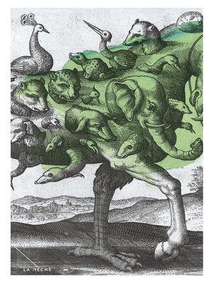 cover image of Autobiographie de l'esprit